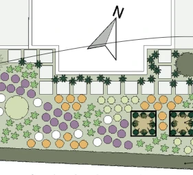 Uitgewerkt beplantingsplan op schaal door Studio FERM