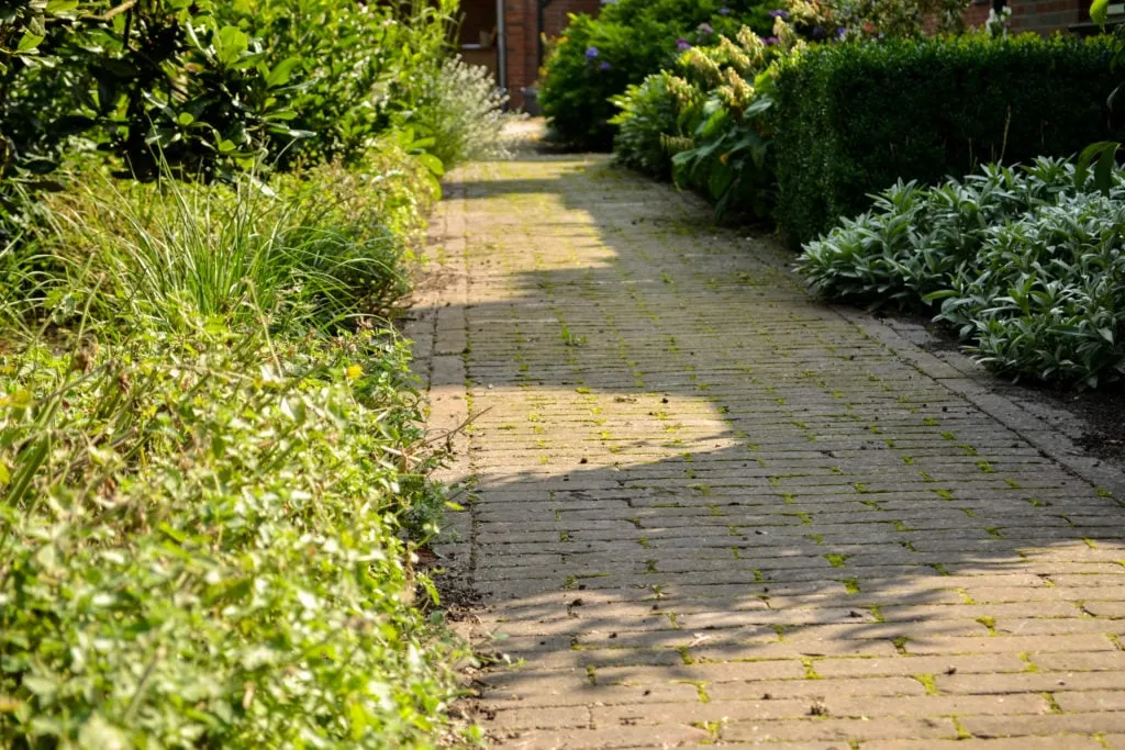 Klein budget: maak je ouderwetse tuin modern in 3 stappen