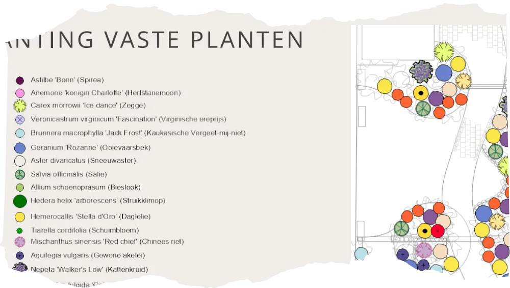 Voorbeeld van een getekend beplantingsplan