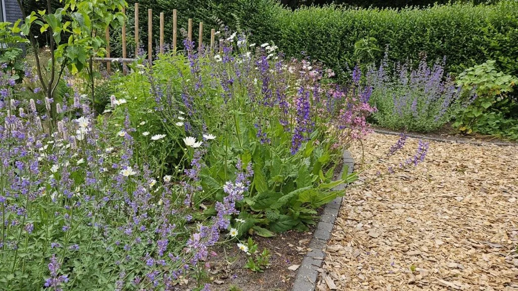 border met bloeiende planten