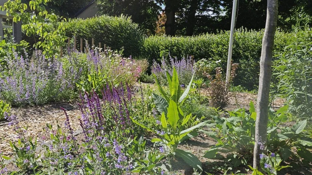 border met bloemen