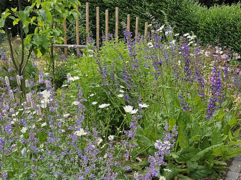 Voortuin vol bloemen in Ugchelen