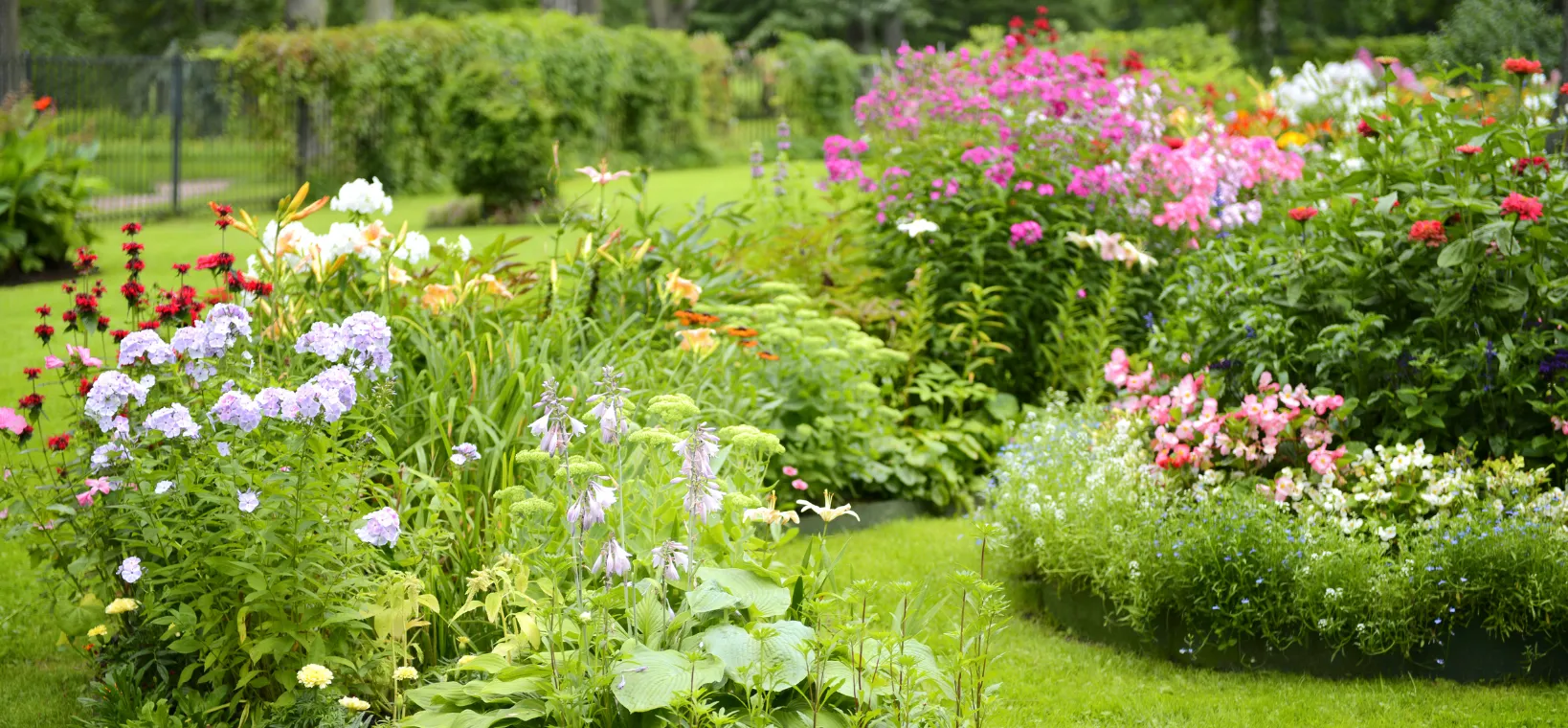 De ultieme gids voor een onderhoudsvriendelijke en biodiverse border