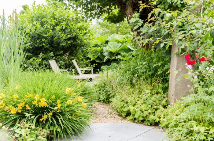 Sfeer in de tuin met beplanting en hoogte