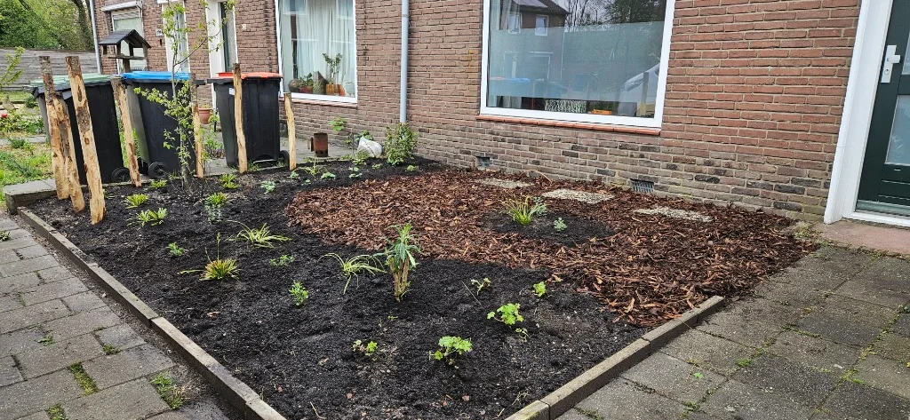 Echte foto van de gerealiseerde voortuin vlak na aanplant